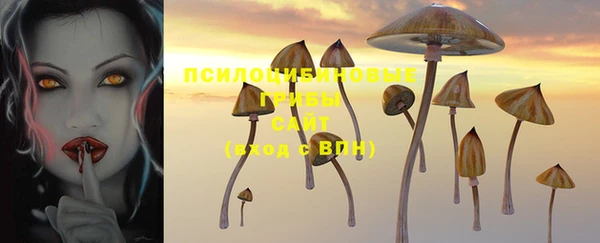 винт Алзамай