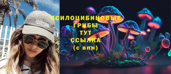 винт Алзамай