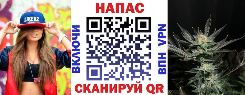 Шишки марихуана ГИДРОПОН  купить наркотик  Октябрьский 